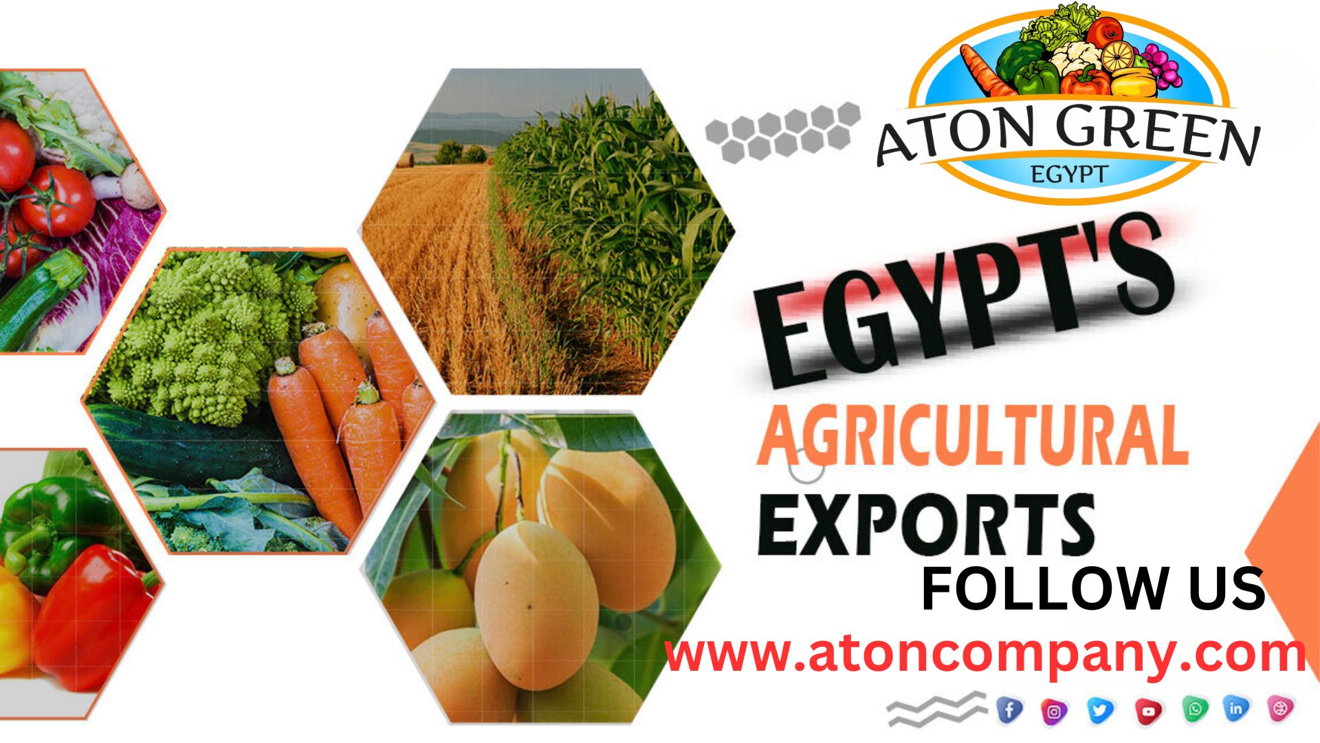 Aton Green Egypt Fresh Fruits & Vegetables